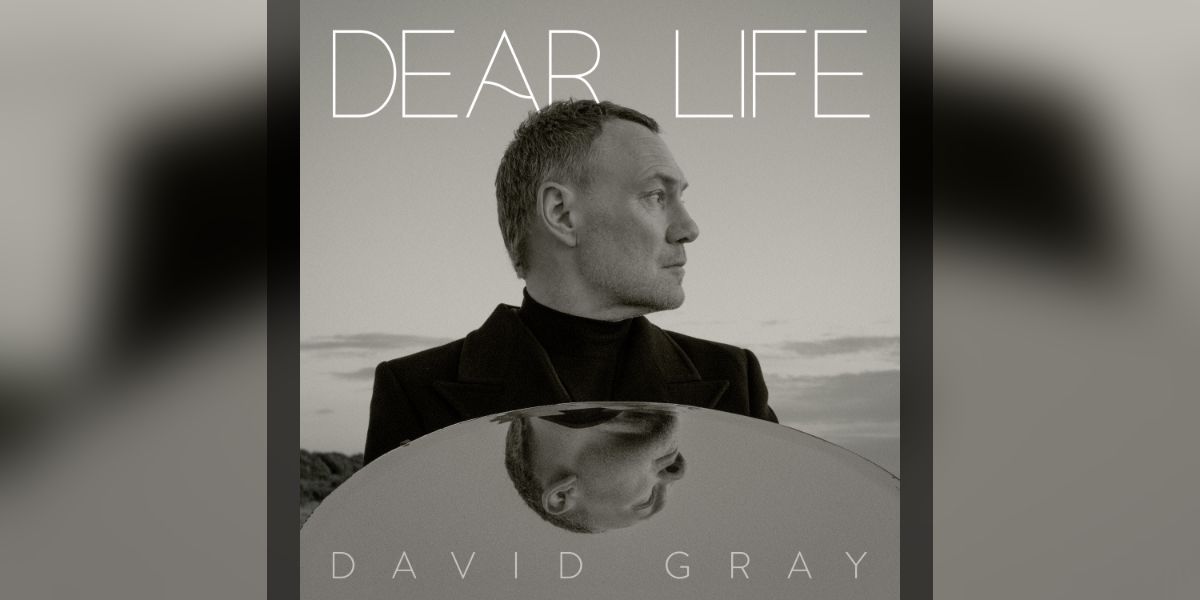 David Gray